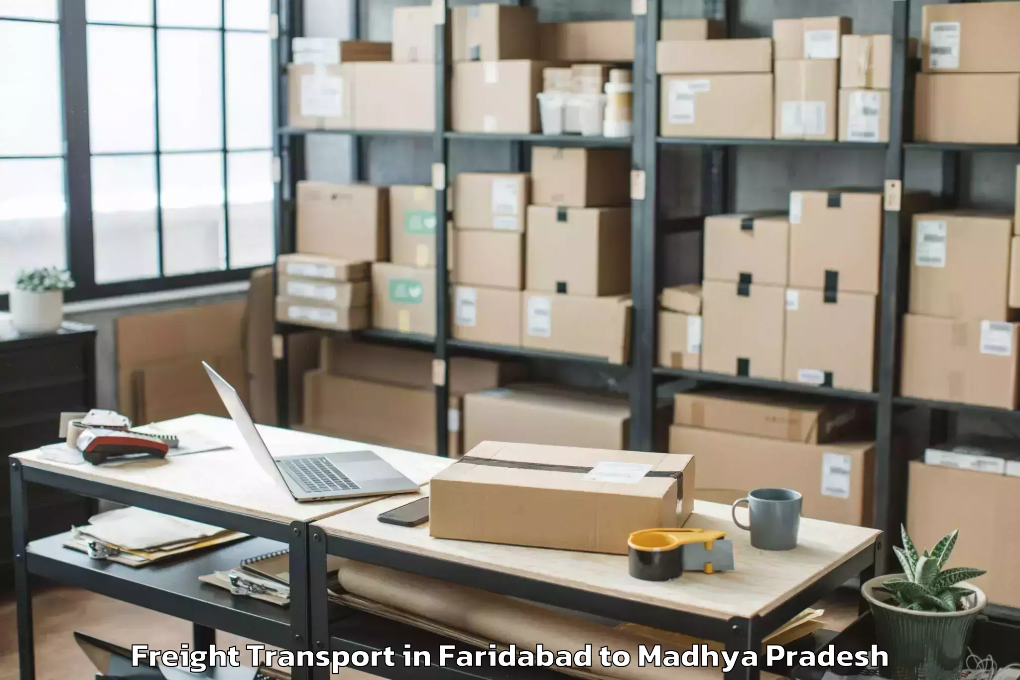 Book Faridabad to Mungaoli Freight Transport Online